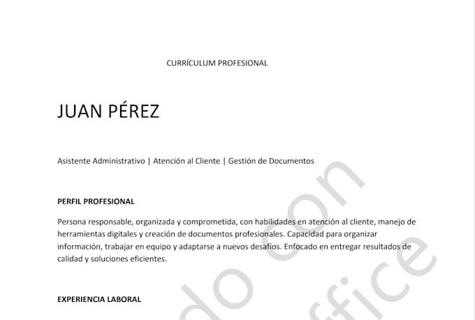 crearé documentos profesionales en word